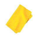 Ultra Absorbent PVA Pet Towel – Dries up to 10x faster + Carrying Case 