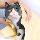 Ultra Absorbent PVA Pet Towel – Dries up to 10x faster + Carrying Case 