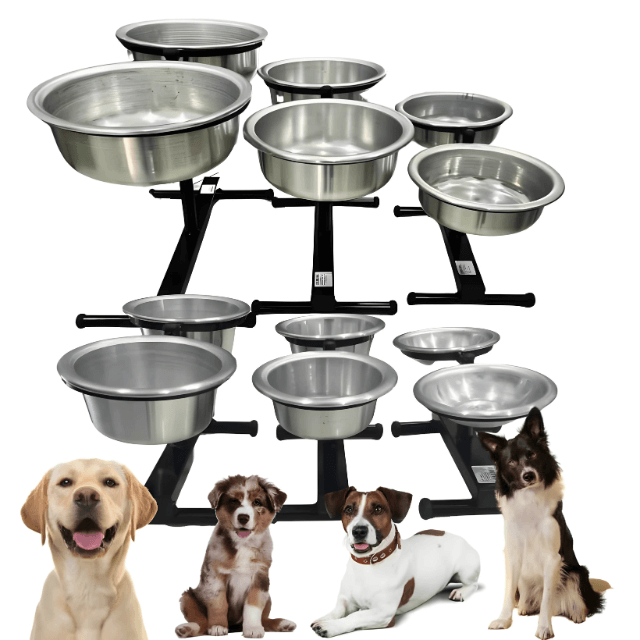 Adjustable Double Aluminum Feeder and Waterer – Health and Comfort | ForPatas 