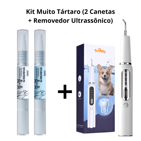 Pet Dental Treatment | Handpiece, Lavizoo, and Ultrasonic – ForPatas 