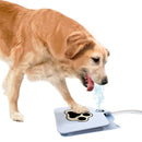 Interactive Toy Water Fountain for Dogs Made of Metal – Fresh Water When You Activate the Paw | ForPatas 