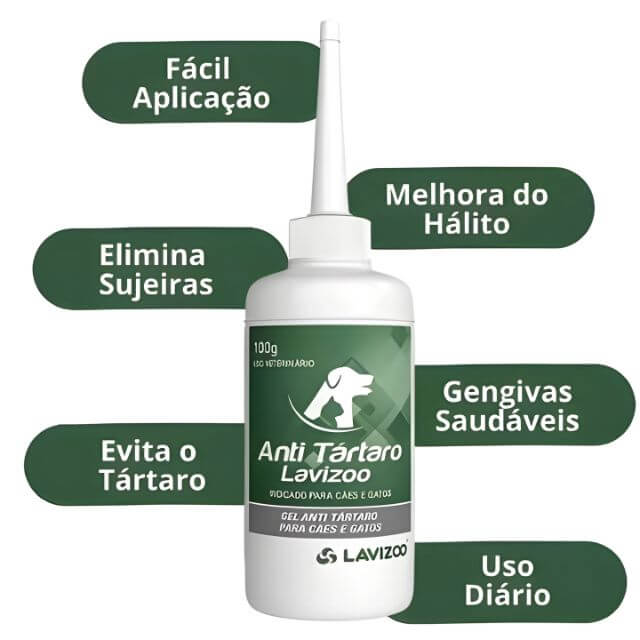 Pet Dental Treatment | Handpiece, Lavizoo, and Ultrasonic – ForPatas 