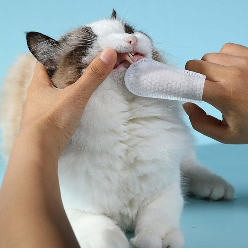 Dental Cleaning Wipes for Dogs and Cats 