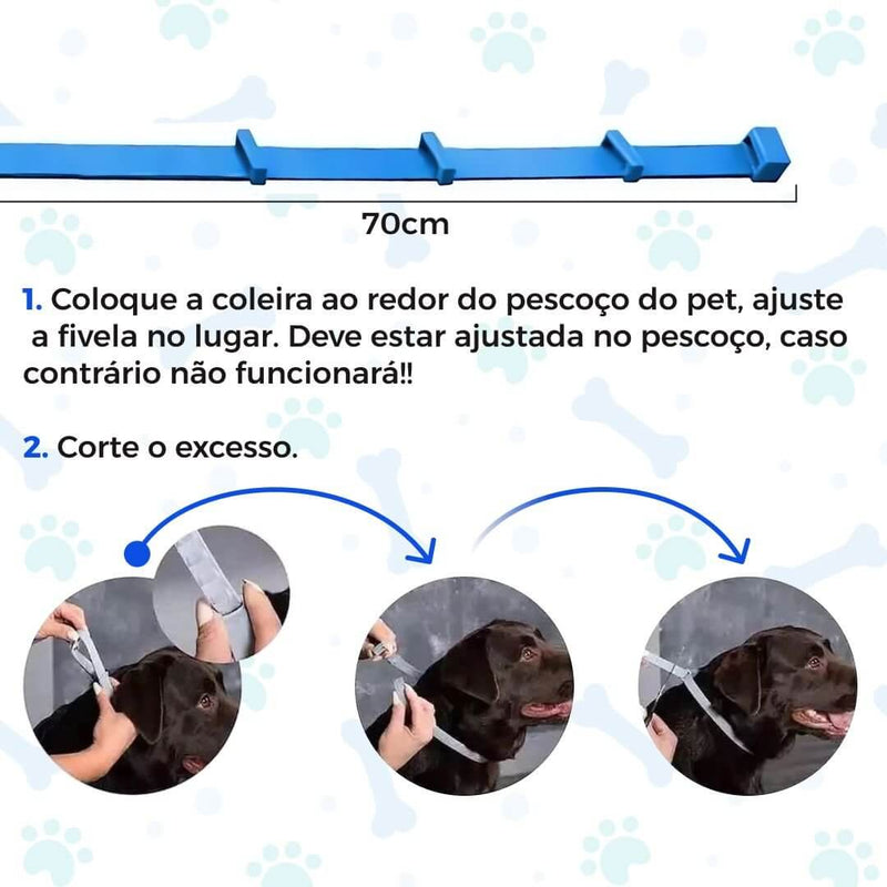 Coleira Anti Pulgas, Carrapatos e Mosquitos 100% Natural – Proteção até 8 Meses | ForPatas