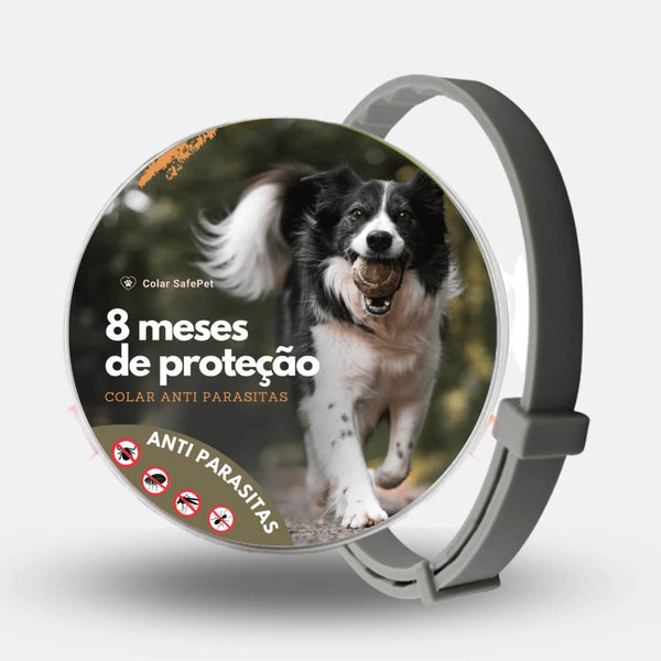 Flea, Tick, and Mosquito Collar 100% Natural – Protection for up to 8 Months | ForPatas 