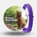 Coleira Anti Pulgas, Carrapatos e Mosquitos 100% Natural – Proteção até 8 Meses | ForPatas