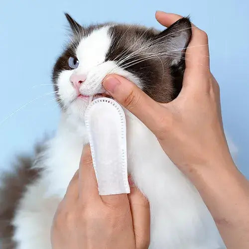 Dental Cleaning Wipes for Dogs and Cats 