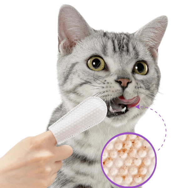 Dental Cleaning Wipes for Dogs and Cats 