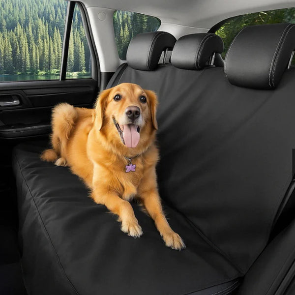 Waterproof Protective Car Cover – Safe and mess-free transport 