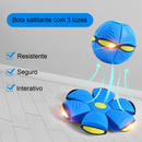 Interactive Magic Ball with Lights for Pets – Endless Fun | ForPatas 