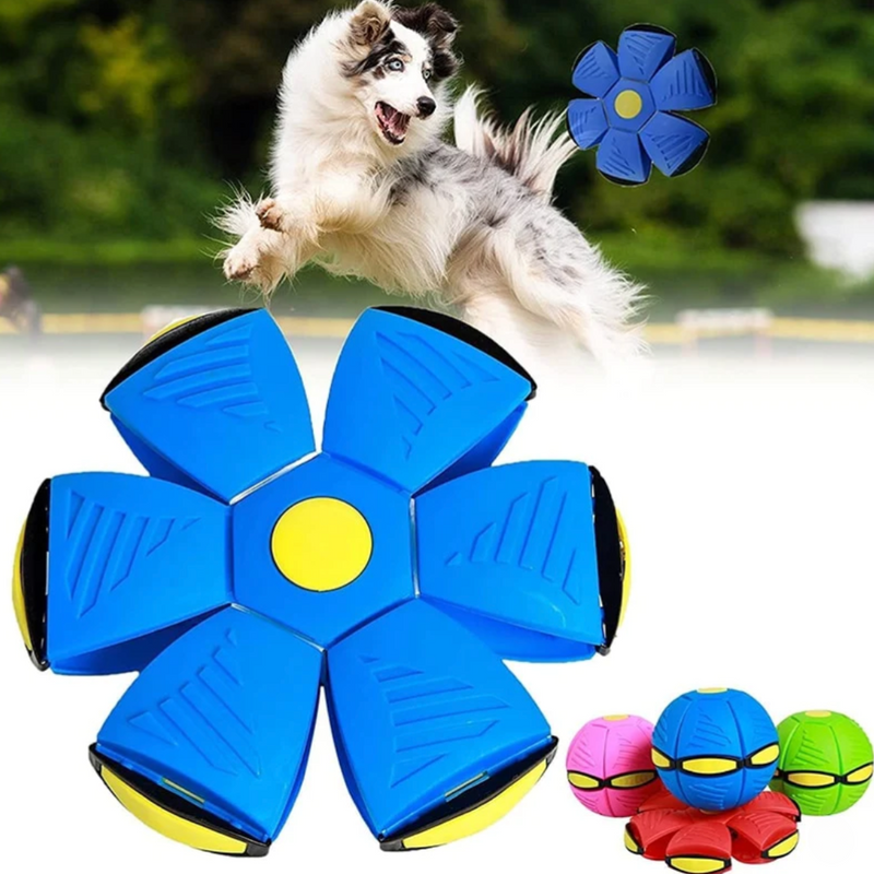 Interactive Magic Ball with Lights for Pets – Endless Fun | ForPatas 