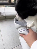 550ml Collapsible Silicone Pet Bottle – Woofline™ 