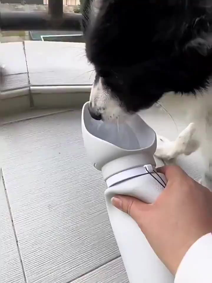 550ml Collapsible Silicone Pet Bottle – Woofline™ 