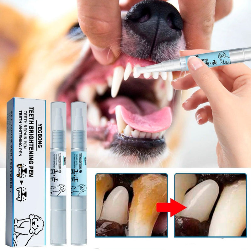 Pet Dental Treatment | Handpiece, Lavizoo, and Ultrasonic – ForPatas 