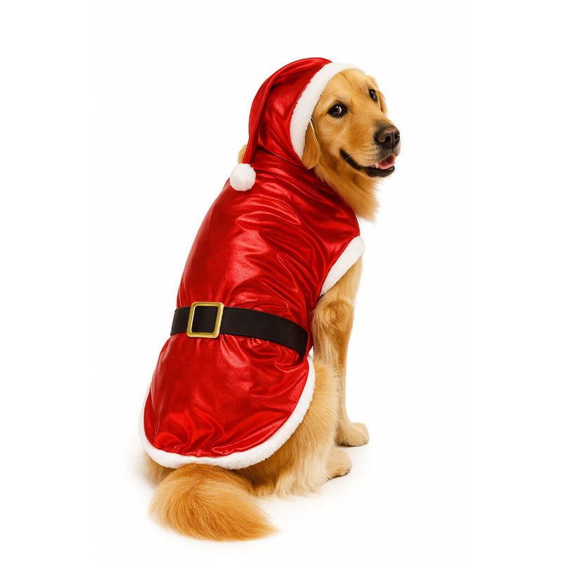 Christmas Santa Claus Outfit for Pets – Barkify™ 