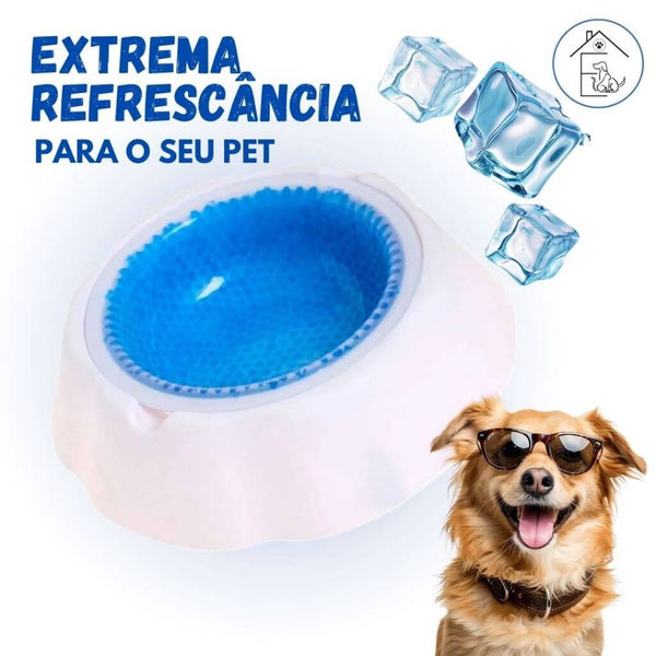Iced Bowl for Dogs and Cats – Always Fresh Water | ForPatas 