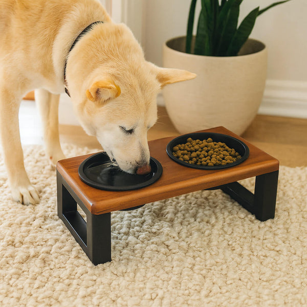 Double Feeder with Airtight Lid in Solid Wood – ForPatas™ | Modern and Functional Design 