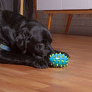 Rugby Chew Ball with Spikes and Whistle – Durable Toy for Dogs 
