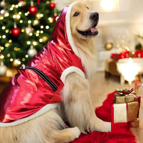 Christmas Santa Claus Outfit for Pets – Barkify™ 