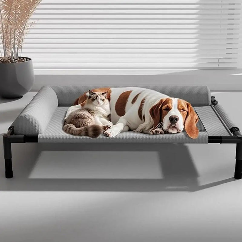 Comfortable Elevated Pet Bed – Lupzy™ | Health, Practicality and Style 