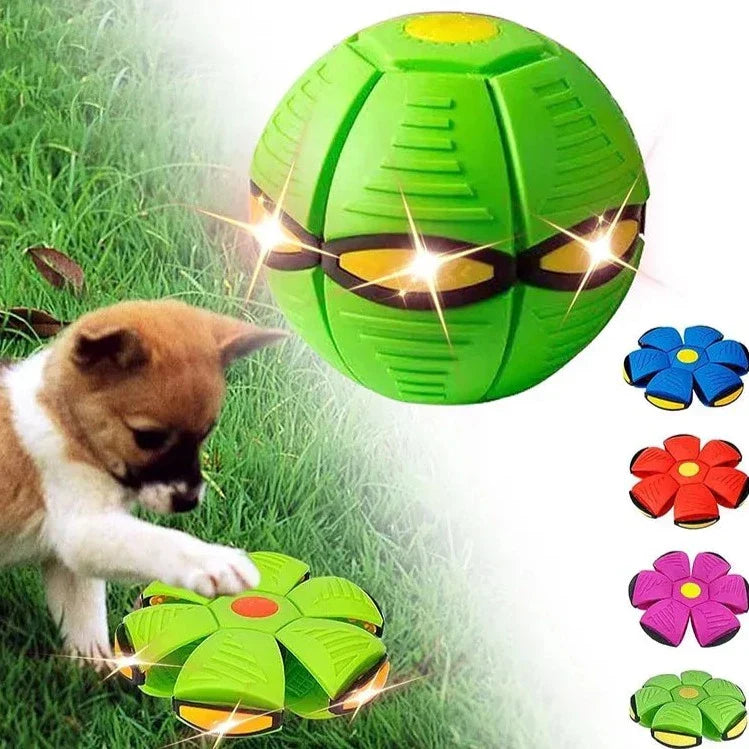 Interactive Magic Ball with Lights for Pets – Endless Fun | ForPatas 