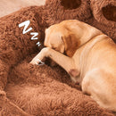 Pawzy™ Pet Bed – Paw-shaped for your pet's comfort and affection. 