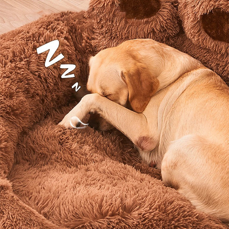 Pawzy™ Pet Bed – Paw-shaped for your pet's comfort and affection. 