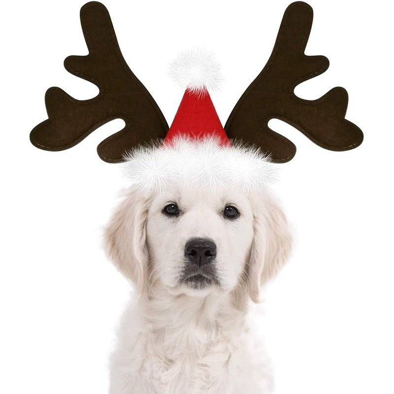 Christmas Reindeer Accessory - Snouty™ 