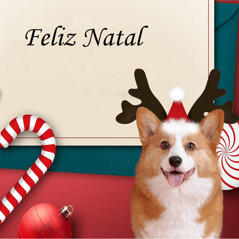 Christmas Reindeer Accessory - Snouty™ 