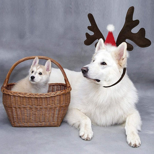 Christmas Reindeer Accessory - Snouty™ 