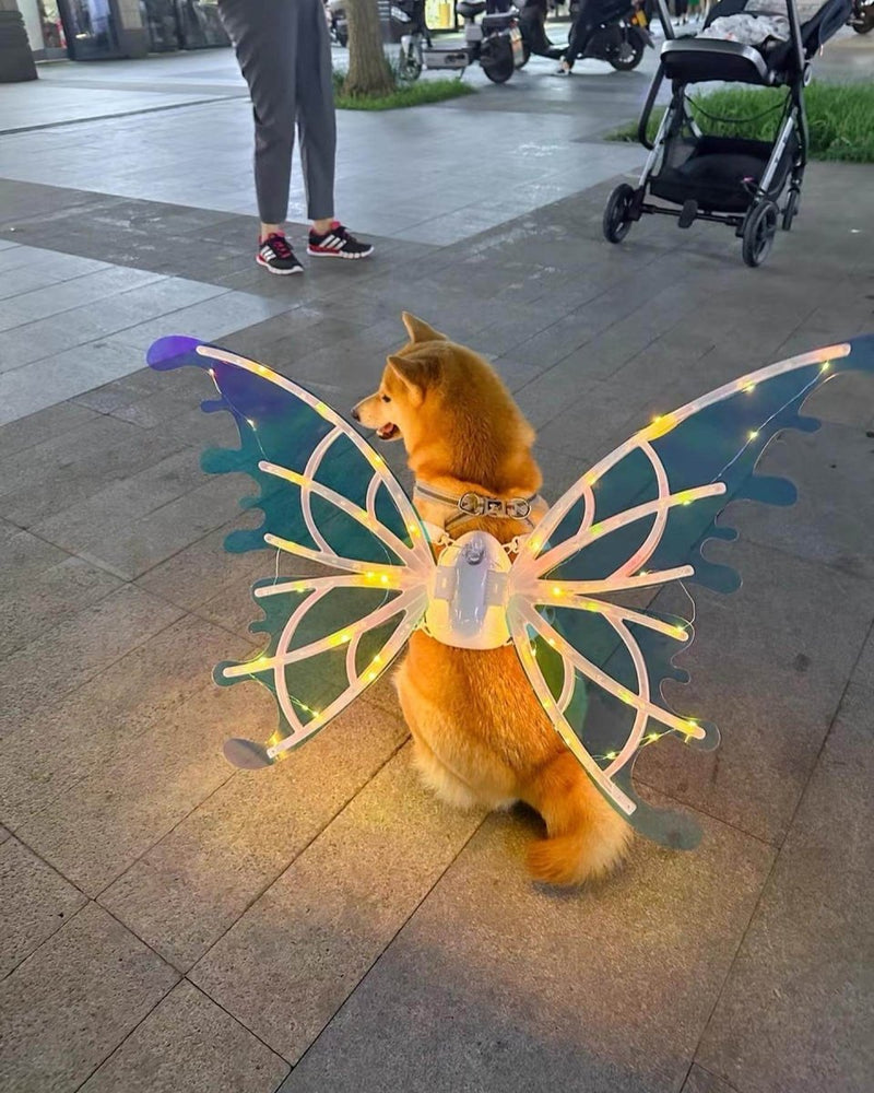Butterfly Wings Pet Glow - Kinect™ 