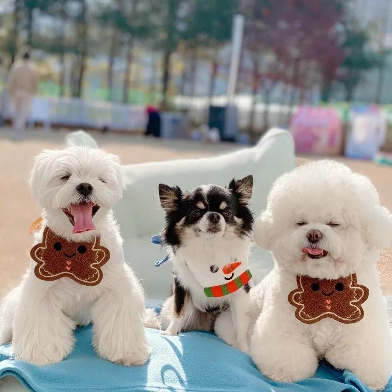 Fun Christmas Bib - Furrish™ 