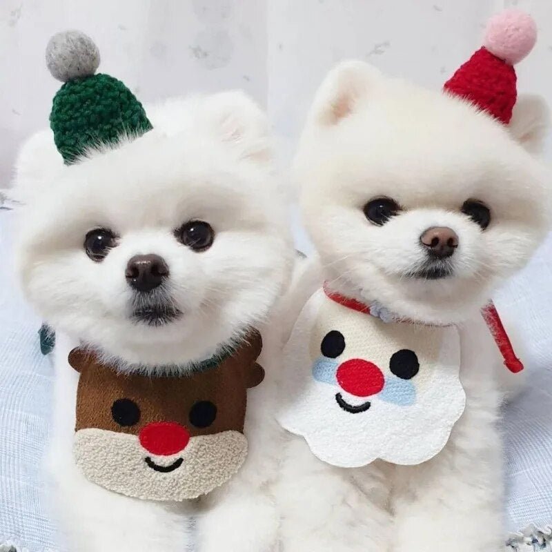 Fun Christmas Bib - Furrish™ 