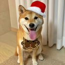 Fun Christmas Bib - Furrish™ 