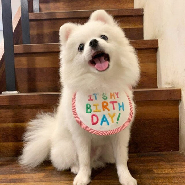 Pet Birthday Bib - Pawzly™ 