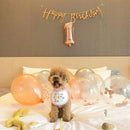 Pet Birthday Bib - Pawzly™ 
