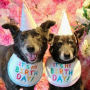 Pet Birthday Bib - Pawzly™ 