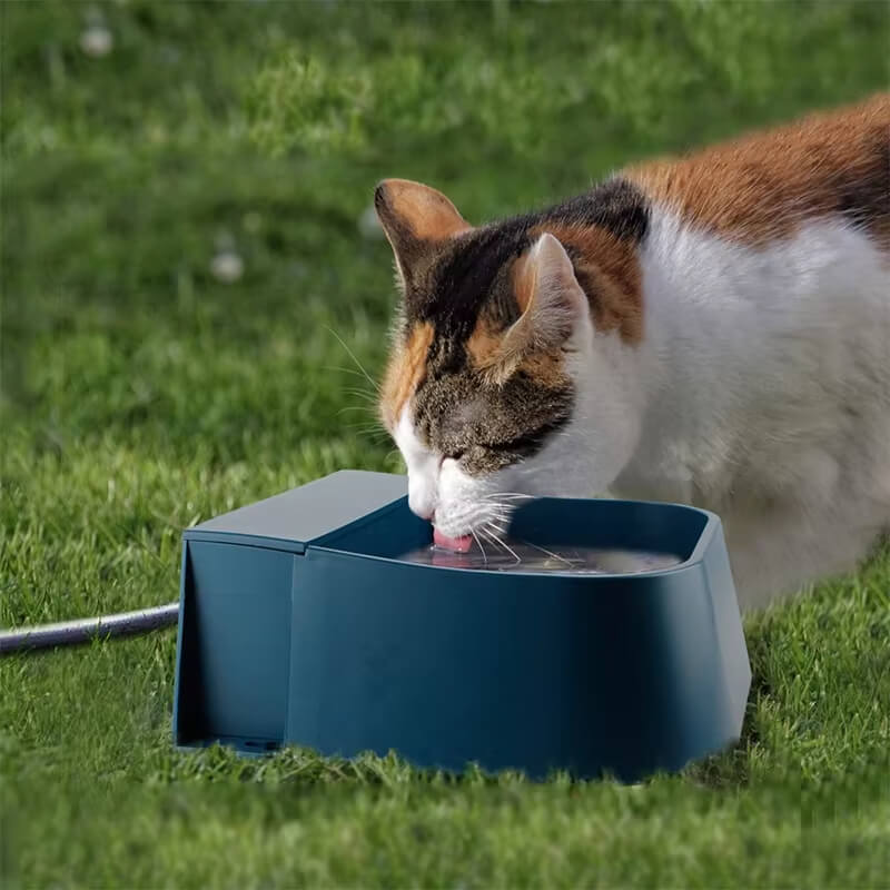Automatic Pet Water Dispenser - Snouty™ 