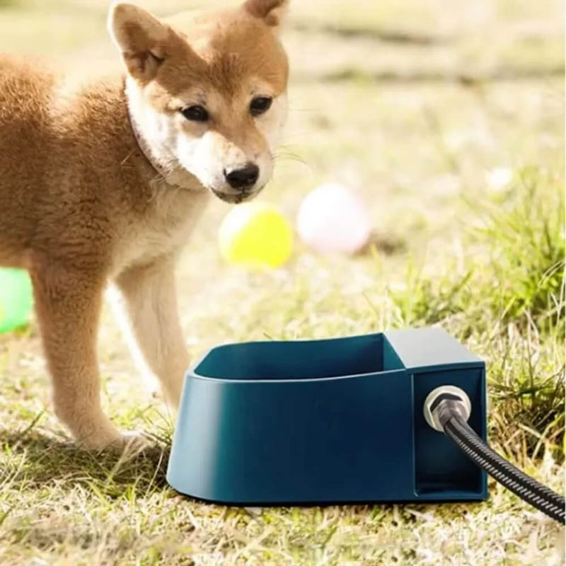Automatic Pet Water Dispenser - Snouty™ 