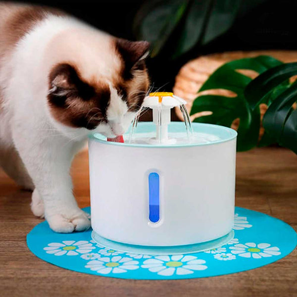 Automatic Cat Water Fountain - Muttly™ 