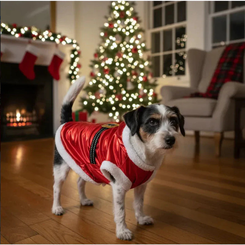 Christmas Santa Claus Outfit for Pets – Barkify™ 