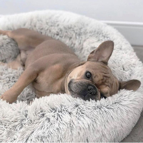 RelaxPet Anti-Anxiety Bed - Barkify™