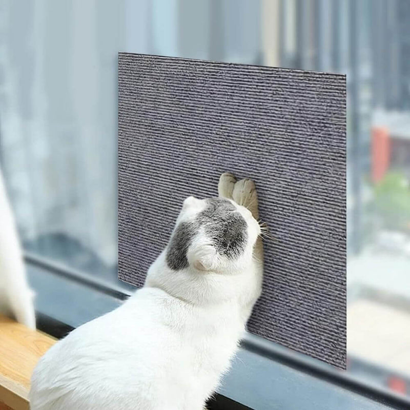 Carpete Protetor Multiuso para Gatos - Use em móveis, portas e paredes!