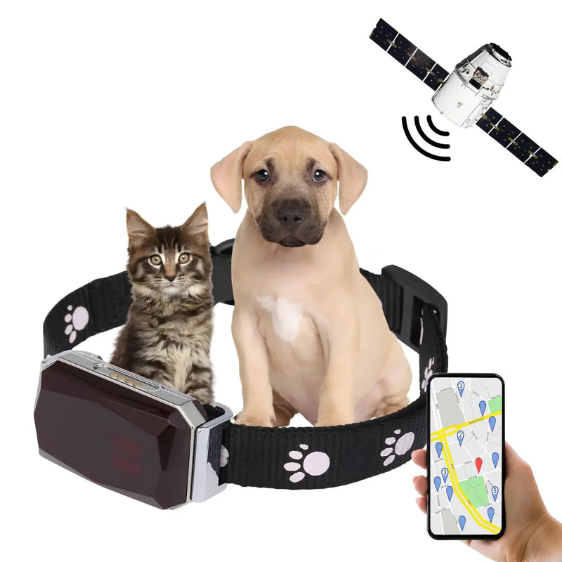 Coleira Com Gps Para Pets Precisão e Rapidez - Snouty™