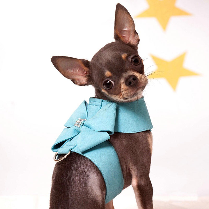 Collar with Leash - Furrish™