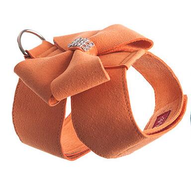 Collar with Leash - Furrish™