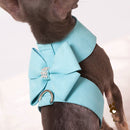 Collar with Leash - Furrish™