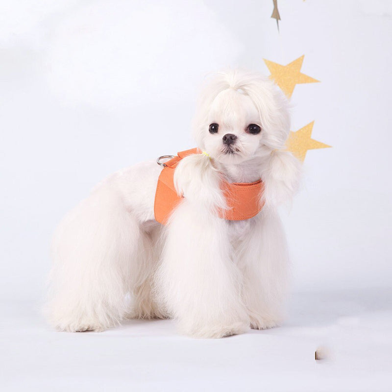 Collar with Leash - Furrish™