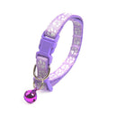 Collar with Pendant for Small Pets - Kinect™