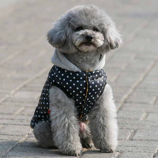 Hooded Vest - Furrish™